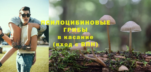 хмурый Вяземский