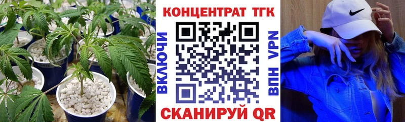 где можно купить   Вытегра  ТГК THC oil 