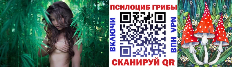 Галлюциногенные грибы прущие грибы что такое наркотик Вытегра